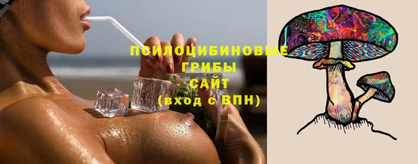 мяу мяу мука Арсеньев
