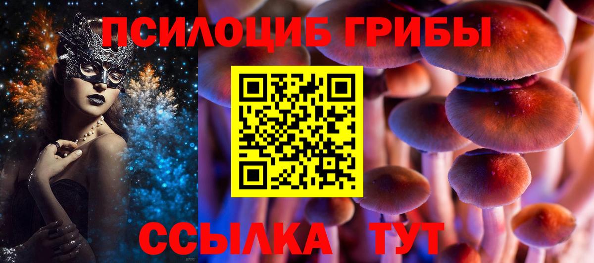 Галлюциногенные грибы прущие грибы  Вход с VPN  Можга 